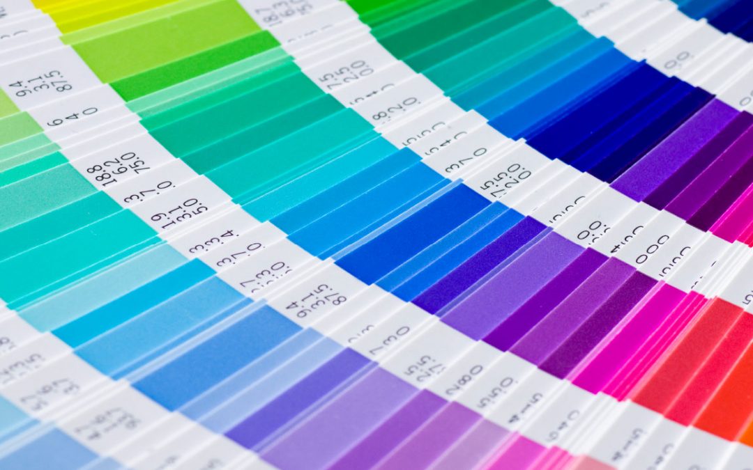 Special Swatches